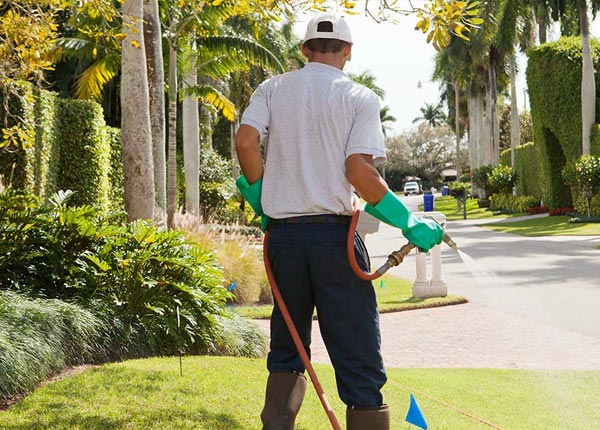 About Saguache CO Pest Control